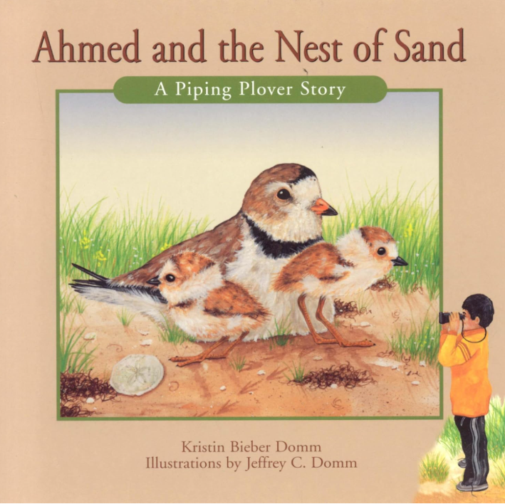 A picture of the book with one adult plover and two babies, a child with binoculars is looking at them from a far.