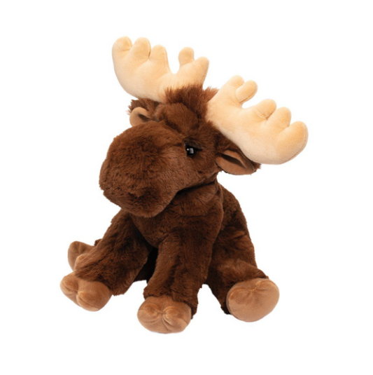 Judie Moose