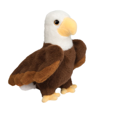 Windy Eagle
