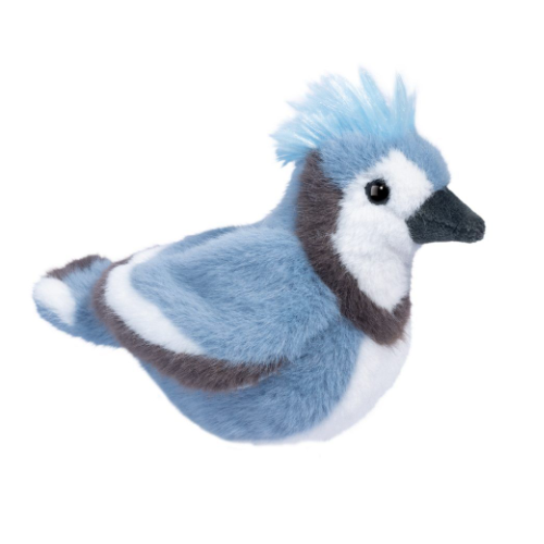 Denim Blue Jay