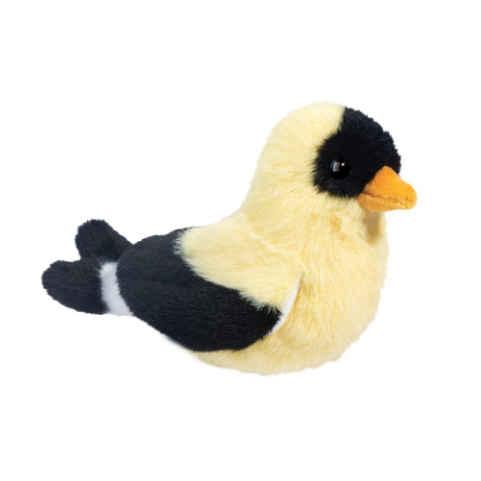 Faye Goldfinch