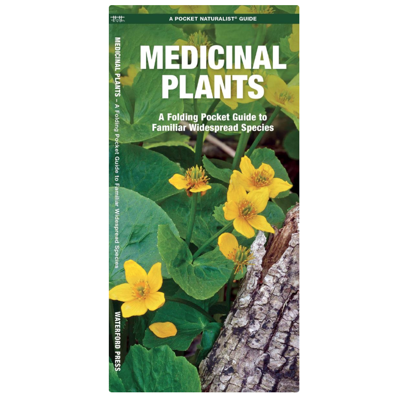 Medicinal Plants (Pocket Naturalist® Guide)