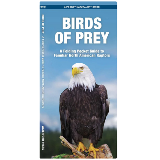 Birds of Prey  (Pocket Naturalist® Guide)