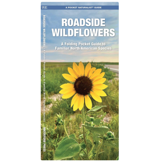 Roadside Wildflowers (Pocket Naturalist® Guide)