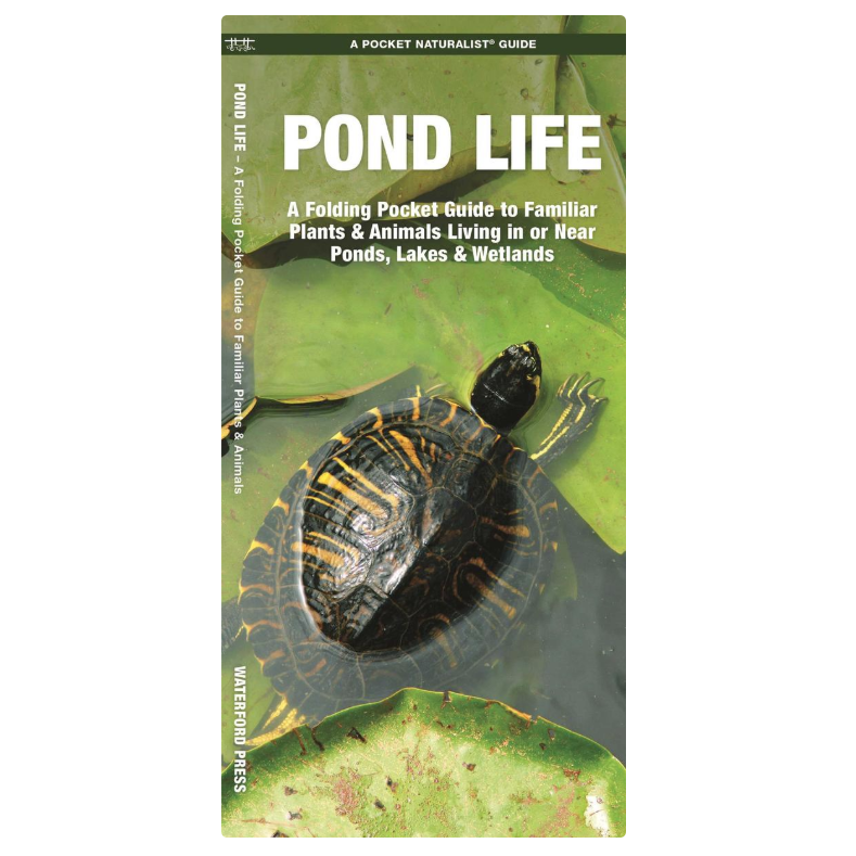 Pond Life (Pocket Naturalist® Guide)