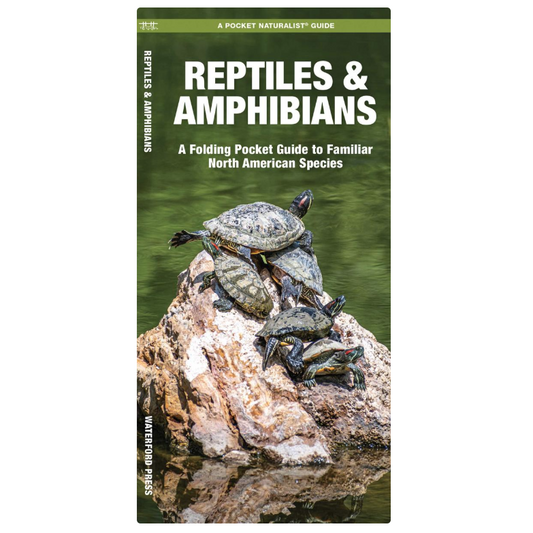 Reptiles and Amphibians (Pocket Naturalist® Guide)