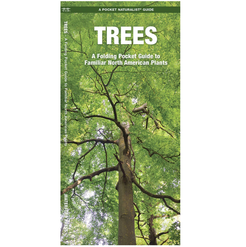 Trees of North America (Pocket Naturalist® Guide)