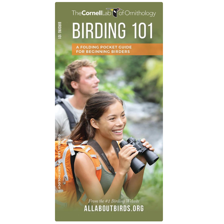 Birding 101 (Pocket Naturalist® Guide)