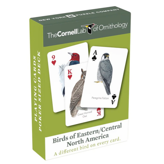 Birds of Eastern/ Central North America Playing Cards
