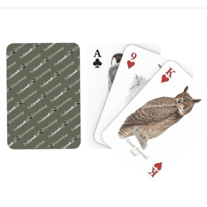 Birds of Eastern/ Central North America Playing Cards