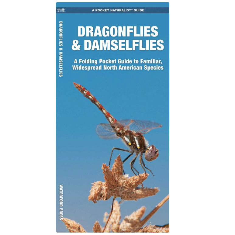 Dragonflies & Damselflies (Pocket Naturalist® Guide)