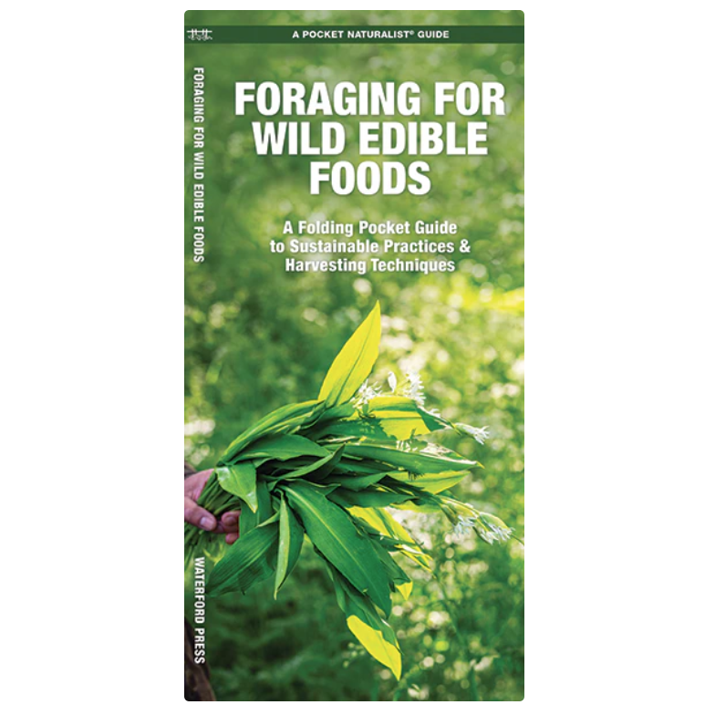 Foraging for Wild Edible Foods(Pocket Naturalist® Guide)