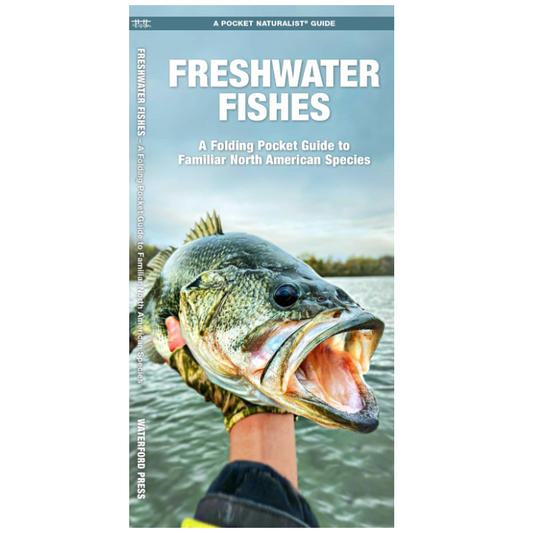 Freshwater Fishes (Pocket Naturalist® Guide)