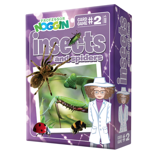 Professor Noggin Card Game - Insects and Spiders
