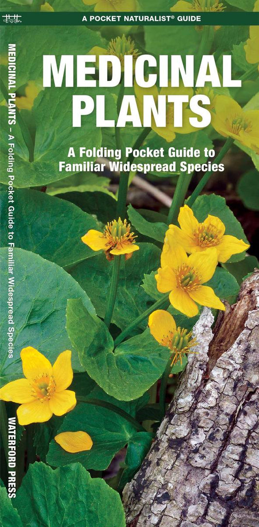 Medicinal Plants (Pocket Naturalist® Guide)
