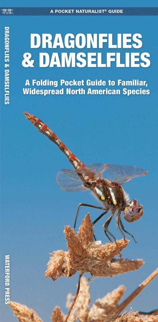 Dragonflies & Damselflies (Pocket Naturalist® Guide)
