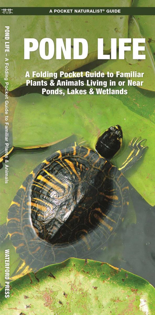 Pond Life (Pocket Naturalist® Guide)
