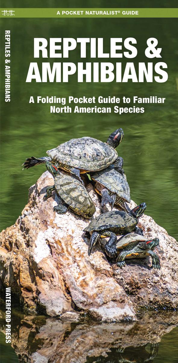 Reptiles and Amphibians (Pocket Naturalist® Guide)