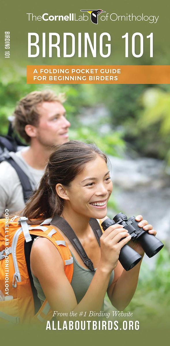 Birding 101 (Pocket Naturalist® Guide)