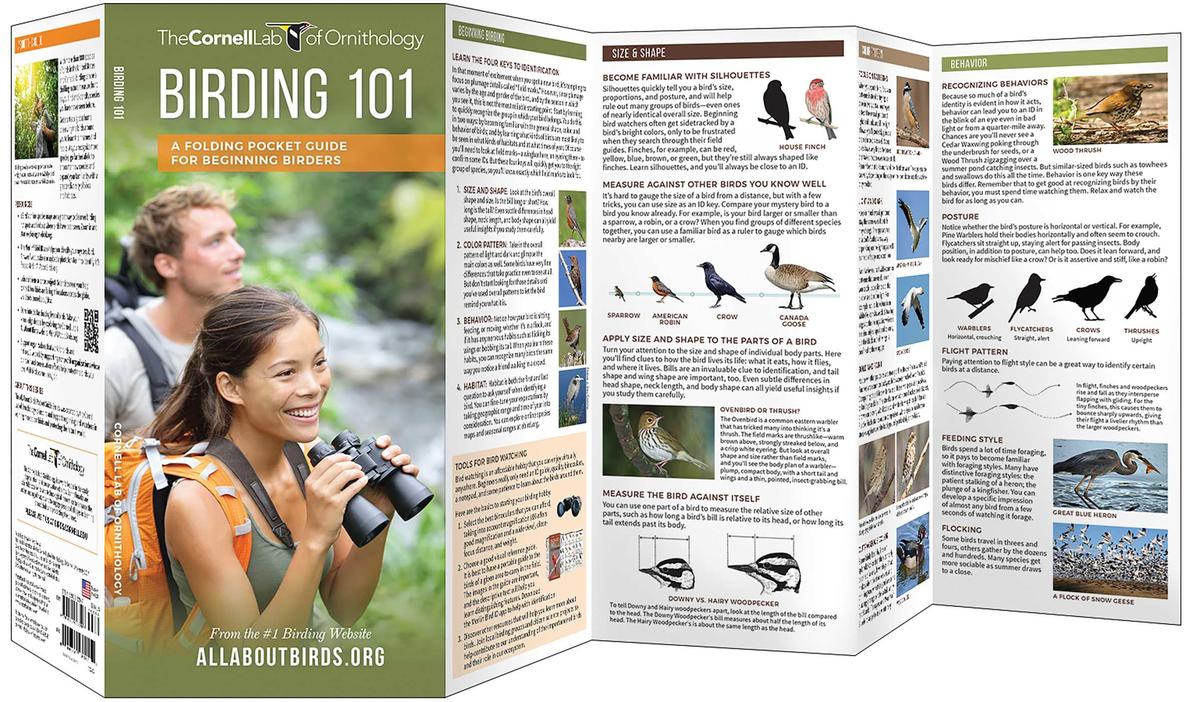 Birding 101 (Pocket Naturalist® Guide)