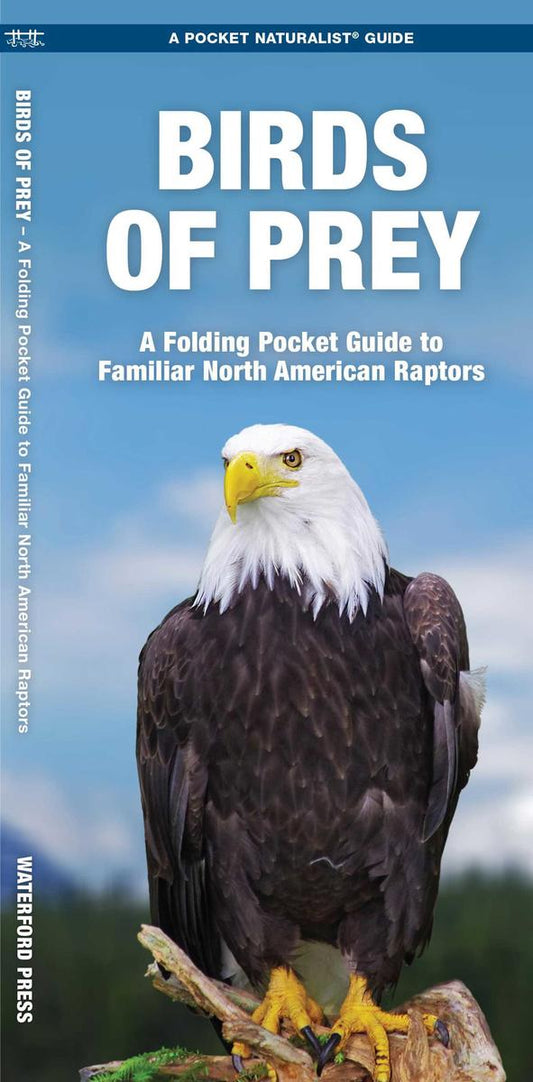 Birds of Prey  (Pocket Naturalist® Guide)