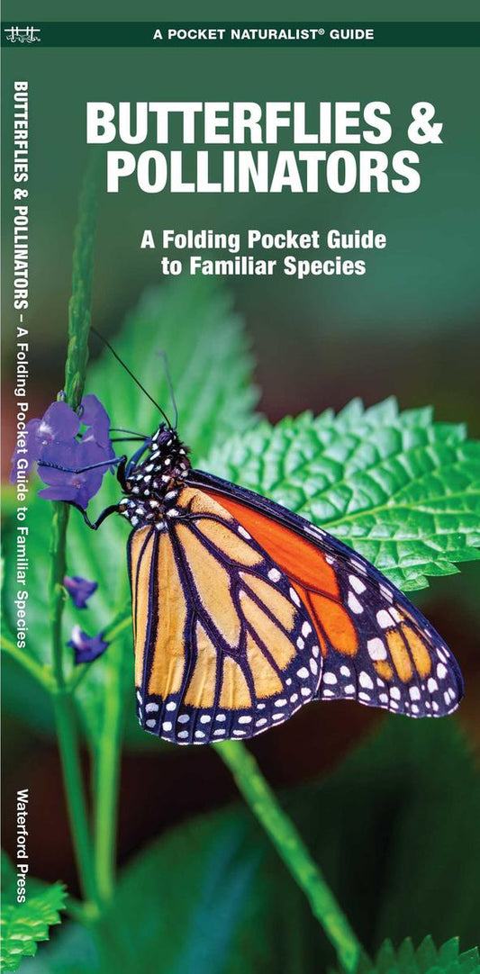 Butterflies & Pollinators (Pocket Naturalist® Guide)