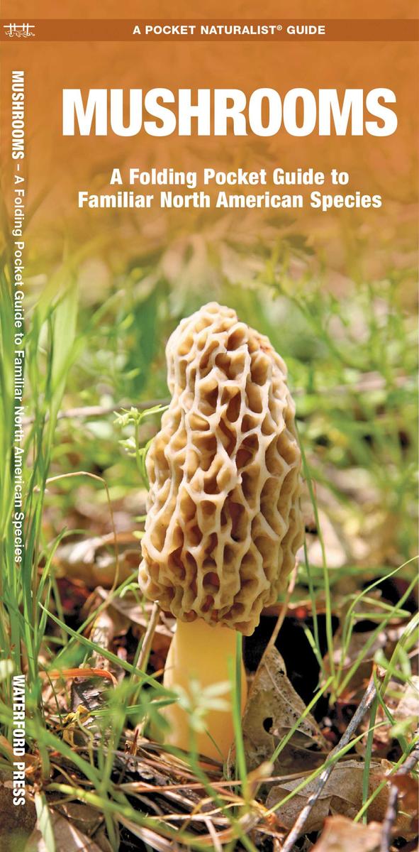 Mushrooms (Pocket Naturalist® Guide)