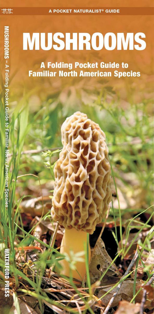 Mushrooms (Pocket Naturalist® Guide)