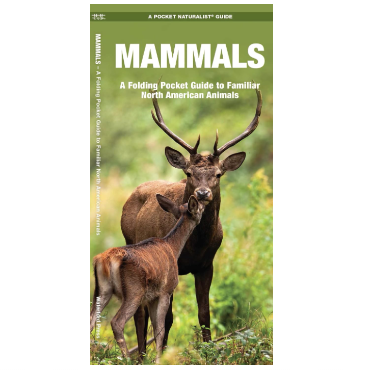 Mammals (Pocket Naturalist® Guide)
