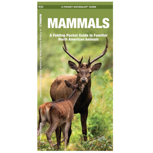 Mammals (Pocket Naturalist® Guide)