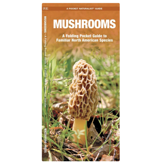 Mushrooms (Pocket Naturalist® Guide)