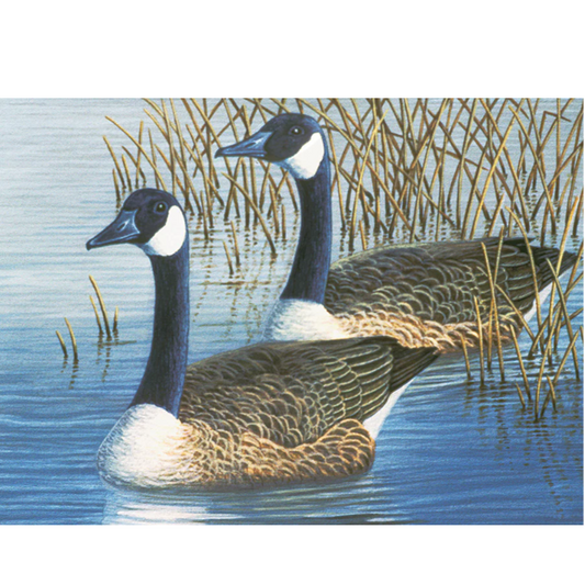 Large Paint By Number Geese