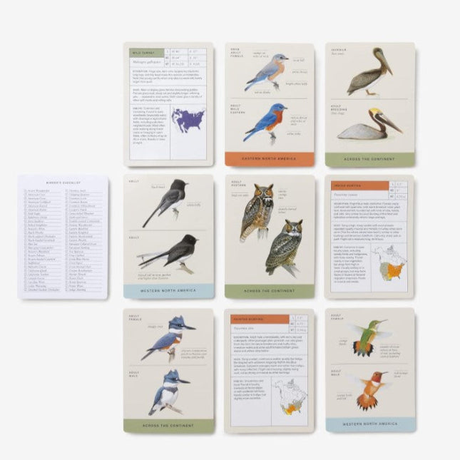 Sibley Backyard Birding Flashcards