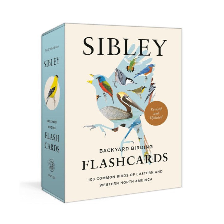 Sibley Backyard Birding Flashcards