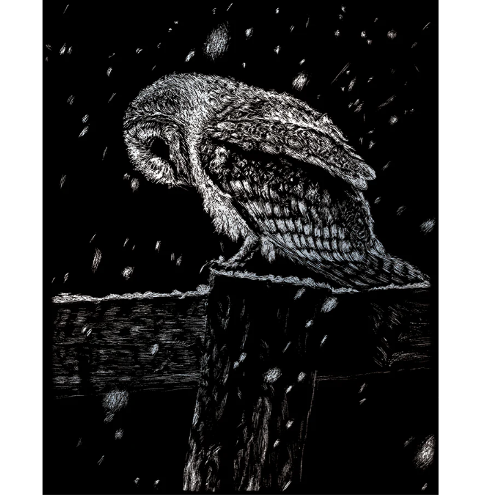 stylized photo of owl on a fence during snow storm with black background