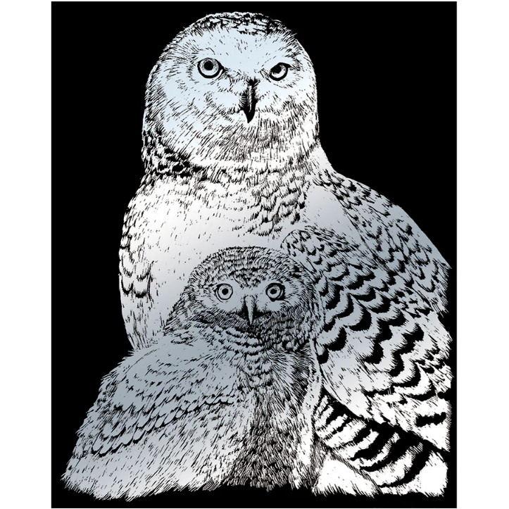 craft photo of two stylized snowy owls in black and white on a black background