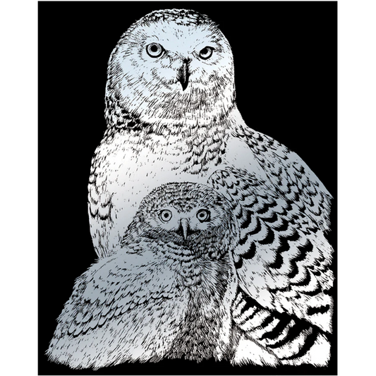 craft photo of two stylized snowy owls in black and white on a black background