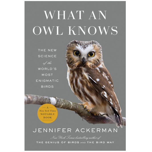 What an Owl Knows