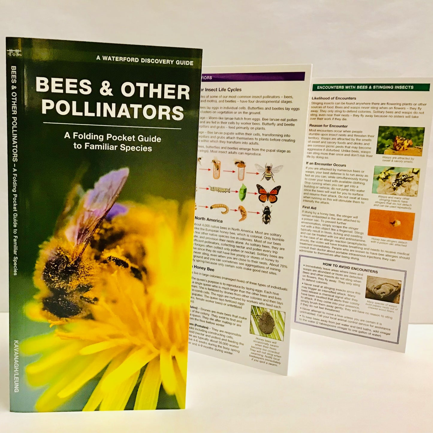 Bees & Other Pollinators (Pocket Naturalist® Guide)