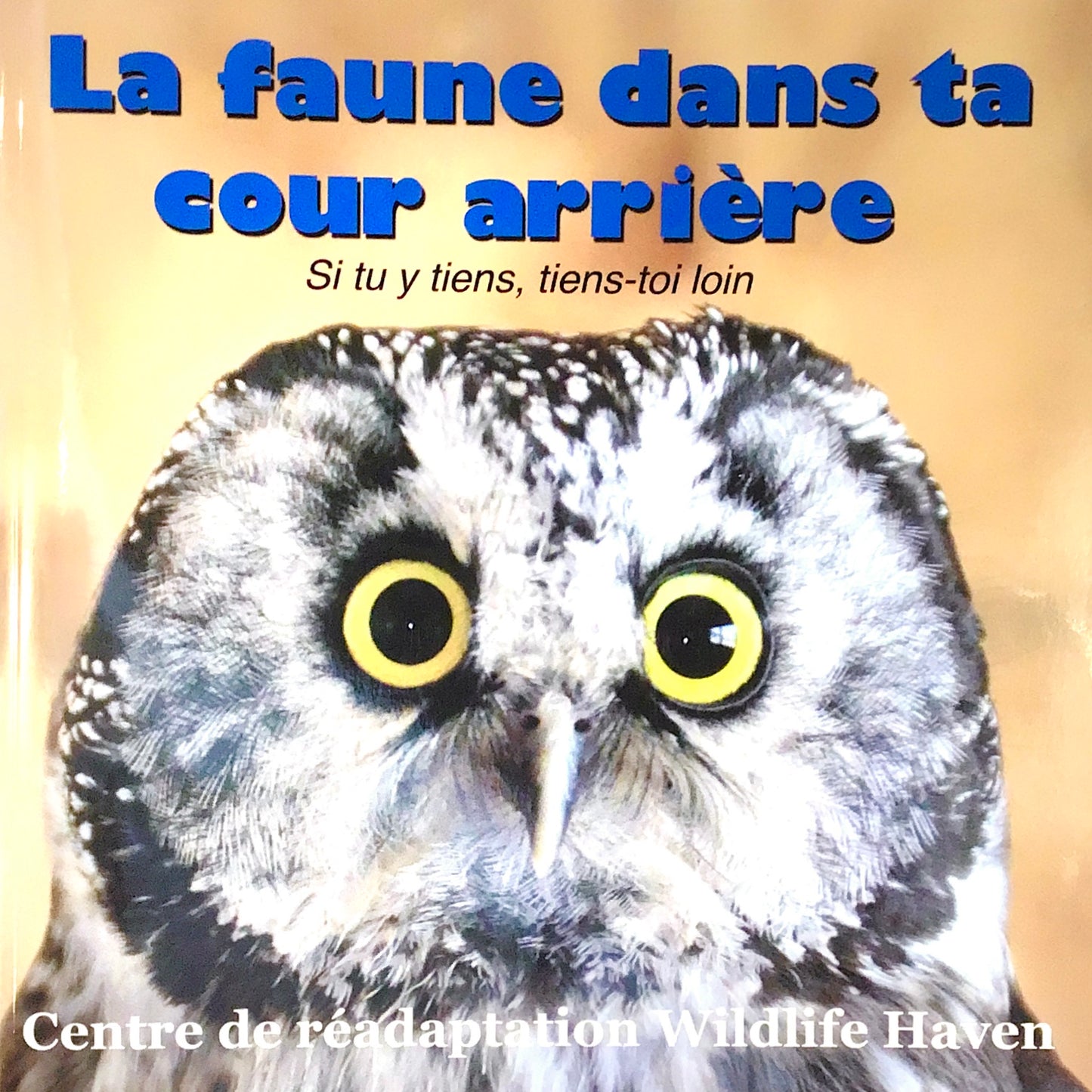 Wildlife in Your Backyard - La faune dans ta cour arriere