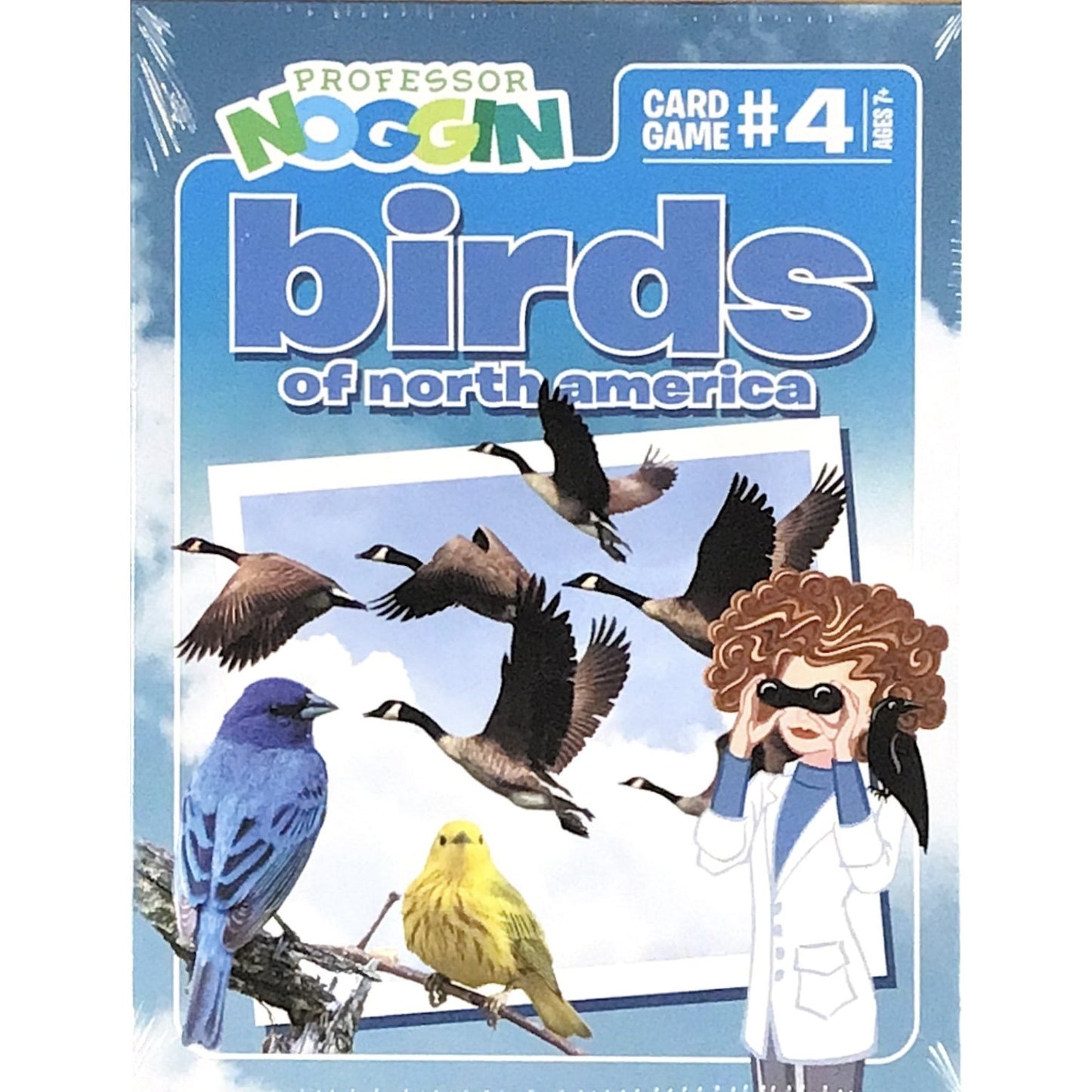 Professor Noggin Card Game - Birds of North America