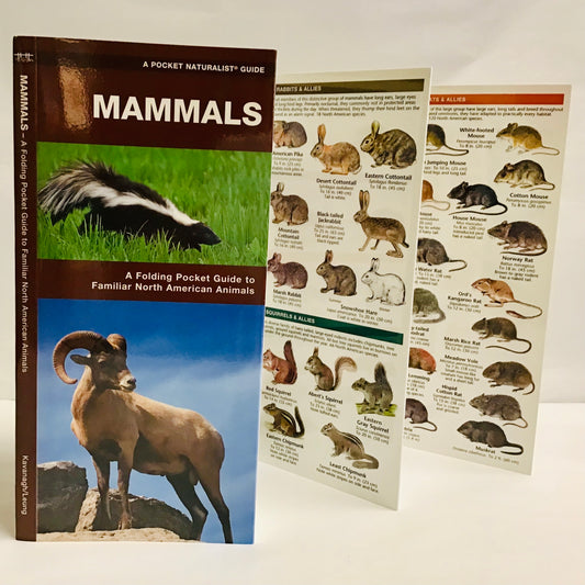 Mammals (Pocket Naturalist® Guide)