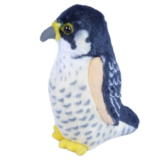 Audubon - Peregrine Falcon