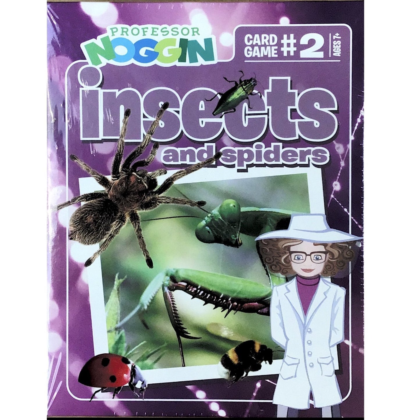 Professor Noggin Card Game - Insects and Spiders