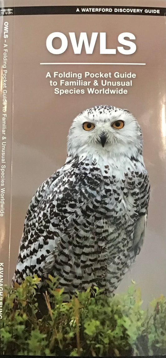 Owls (Pocket Naturalist® Guide)