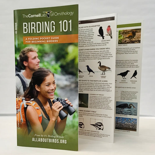 Birding 101 (Pocket Naturalist® Guide)