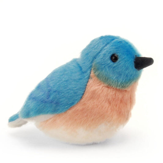 Audubon - Eastern Bluebird