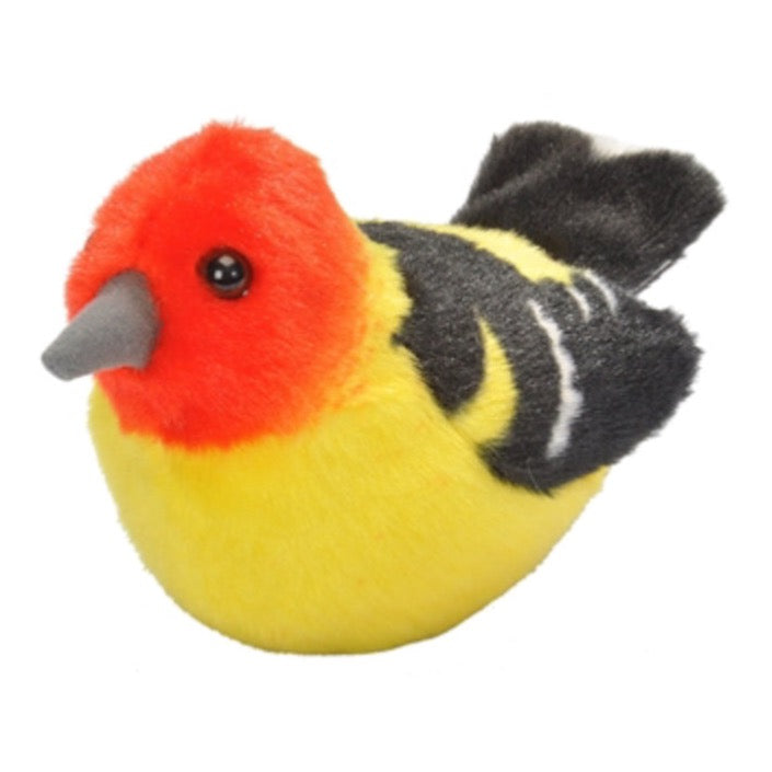 Audubon - Western Tanager