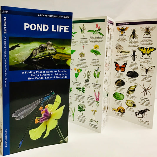 Pond Life (Pocket Naturalist® Guide)