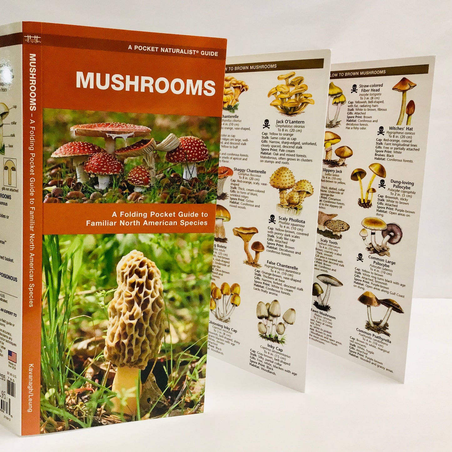 Mushrooms (Pocket Naturalist® Guide)